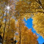 Предстоящи събития в страната на 25 ноември 2022 г.