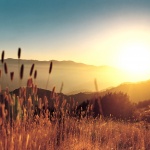 Къде какво в страната днес