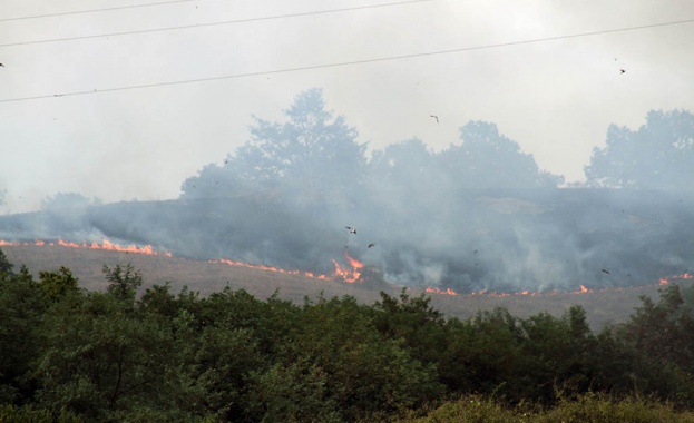 Пожар бушува на метри от българската граница 