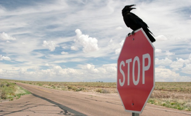 Младоженец забрави половинката си на бензиностанция 