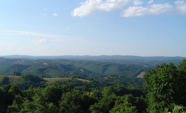 Агенцията по горите увери: Шефът на парк "Странджа" напуска сам, без натиск