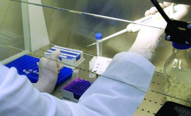 ЮНЕСКО: Инвестициите за научни изследвания са нараснали въпреки кризата