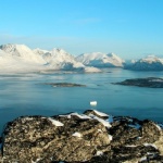 Проф. Михаил Станчев от Харков: Тръмп иска да отвлече вниманието от Украйна чрез действията си в Гренландия