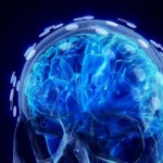 Мозъкът прави разлика между брак и съжителство на семейни начала