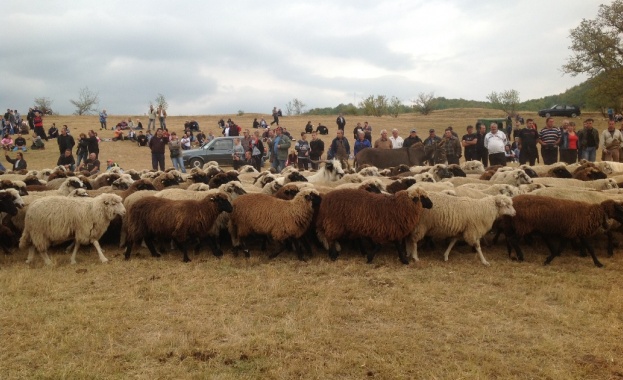 Животновъдите отменят планирания за края на месеца протест