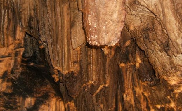 Туристка почина при злополука до Националния пещерен дом край луковитското