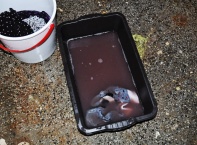 Бежанци в кв. "Враждебна", БХК