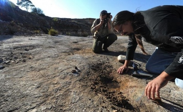 Работилница за керамика разкриха археолозите в Козарева могила