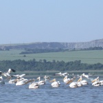 Допълват атракциите край езеро Вая