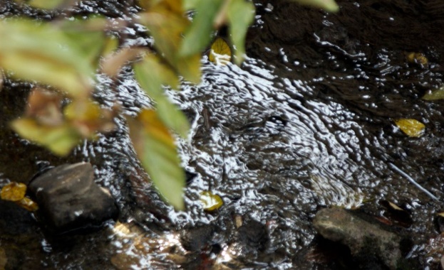 Предстоящи събития в страната за днес, 6 ноември