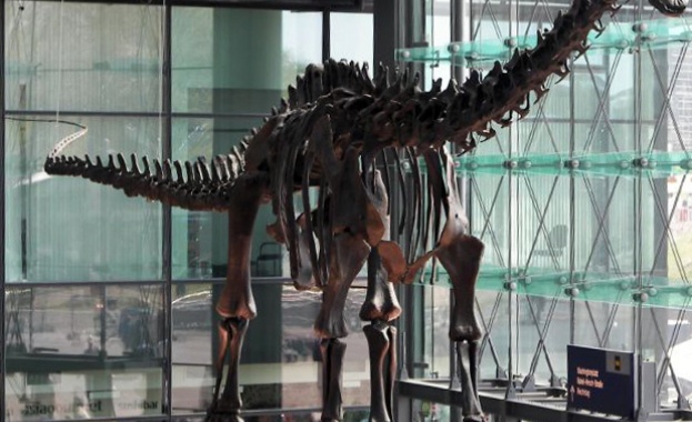 Пордават на търг скелет на Диплодокус