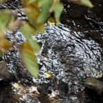 Предстоящи събития в страната за утре, 2 октомври