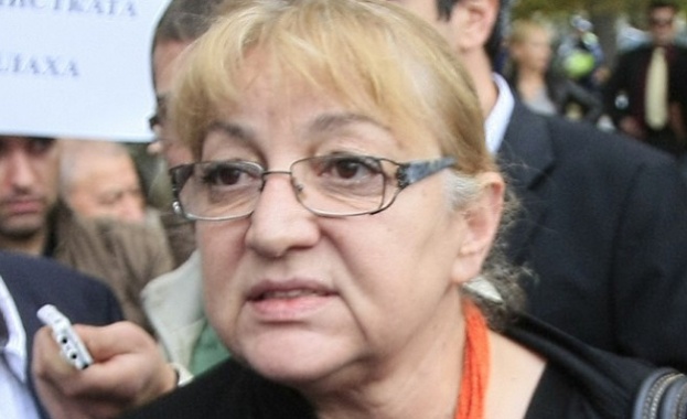 Ташева: Голяма част от нахлуващите от Турция пришълци са престъпници