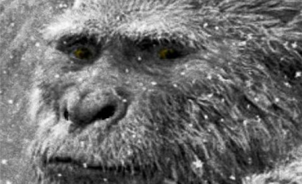 Откриха изчезнал преди 50 години труп на Йети 