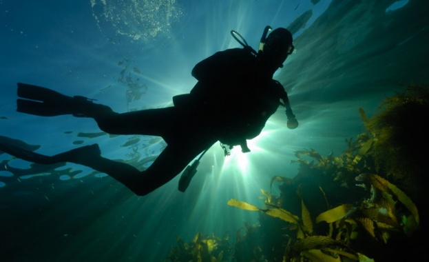 Бургаските водолази организират подводно коледно парти