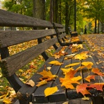 Предстоящи събития в страната за утре, 22 ноември 