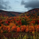 Предстоящи събития в страната за утре, 19 ноември