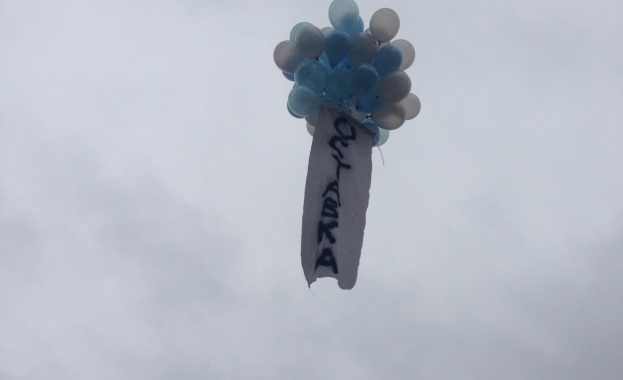 Хиляди гербери се стичат към Пловдив 