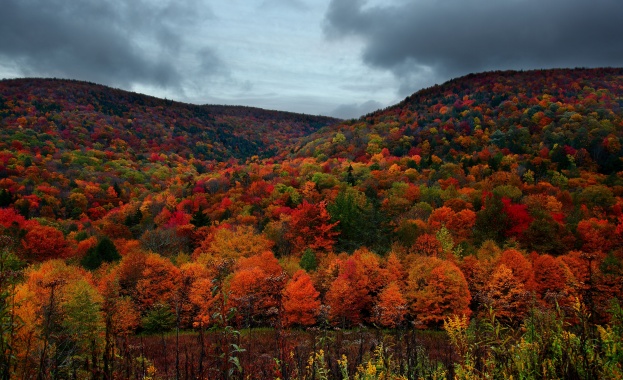 Предстоящи събития в страната за утре, 19 ноември