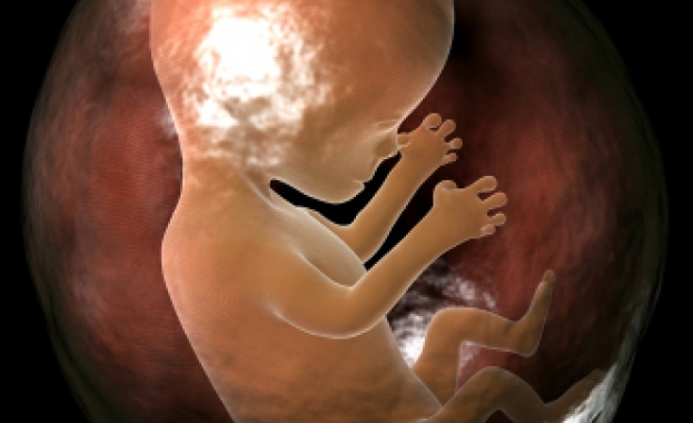 Акушер-гинеколози правят нелегални аборти на непълнолетни 