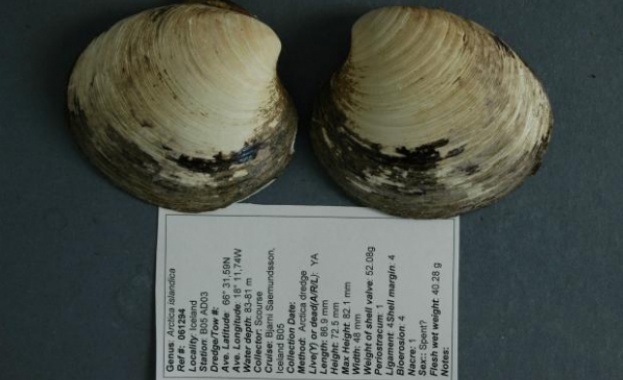 Убиха неволно най-старото животно на планетата