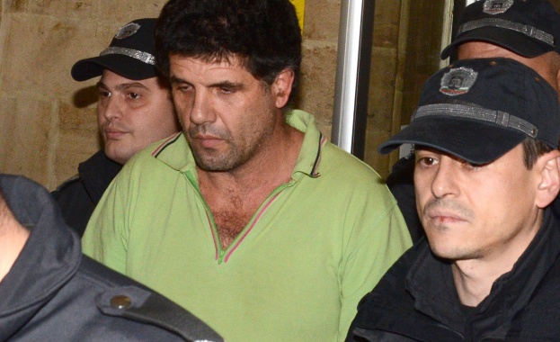 Крокодила отново в ареста 