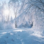 Предстоящи събития в страната за днес, 27 ноември