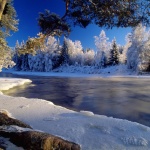 Предстоящи събития в страната за днес, 3 януари