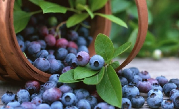 Най-полезен е сокът от боровинки