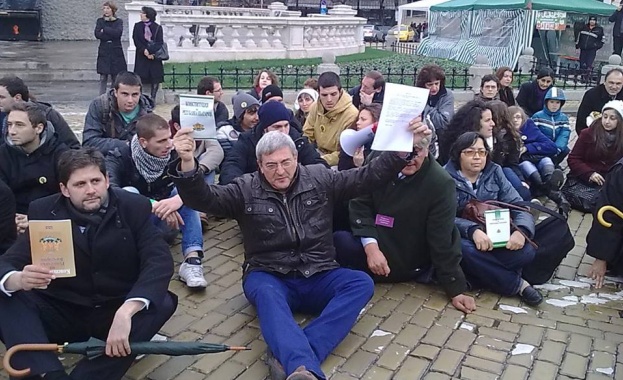 Нарциси в акция