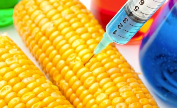 НПО-та заплашиха с протести заради ГМО храните