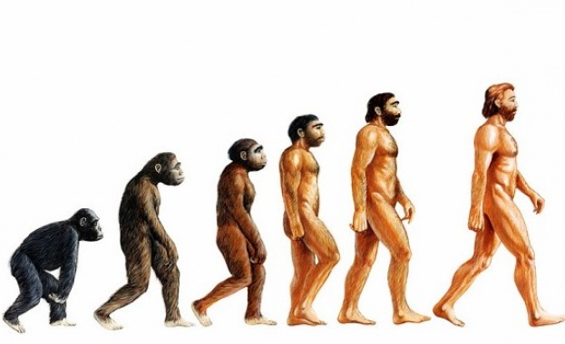 Разшифроваха ДНК-то на човек, живял преди 400,000 години