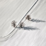 Предстоящи събития в страната за днес, 19 декември