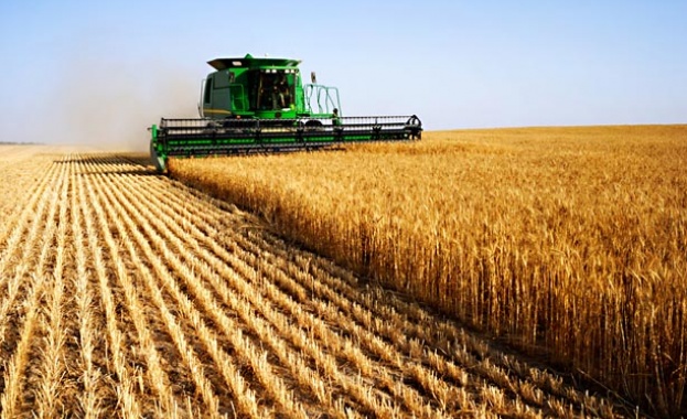 За измама със земеделски земи предупреждават зърнопроизводители