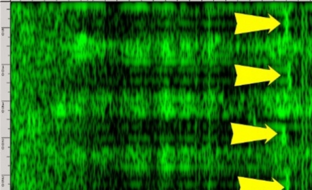 Извличат RSA ключове по шума от компютъра