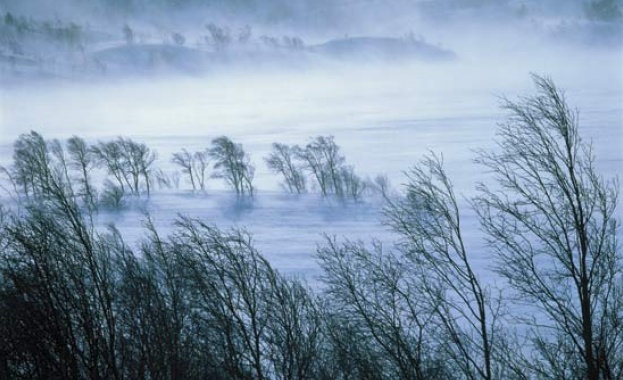 Жълт код за силен вятър е в сила утре за цялата страна 