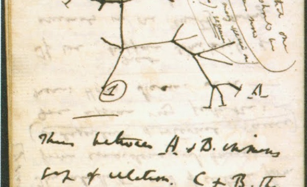 30% от американците не вярват в Дарвиновата теория