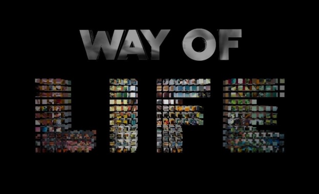 Екстремните спортове връхлитат кино „Одеон” с нов филм фест 