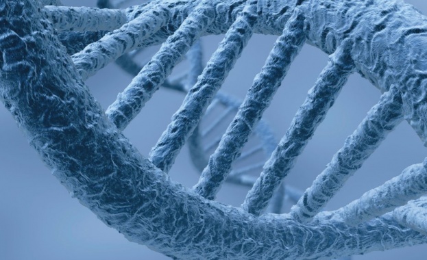 Откриха гена на щастието