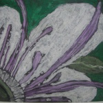 Рождениците днес