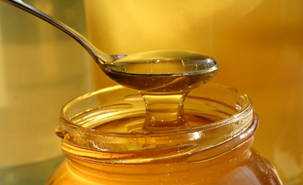 Пчеларите очакват добивът на мед тази година да е с до 50% по-малък