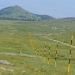 Организираният туризъм в България навършва 130 години