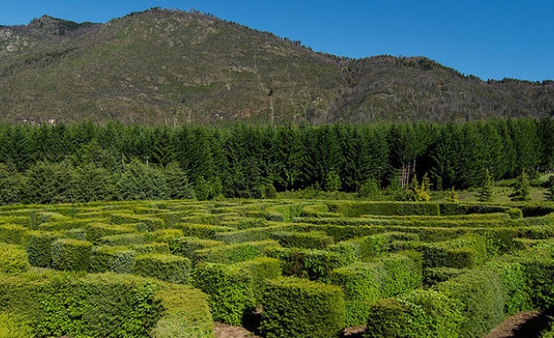Развлекателен лабиринт привлича туристи в Аржентина 