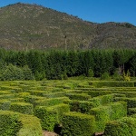 Развлекателен лабиринт привлича туристи в Аржентина 