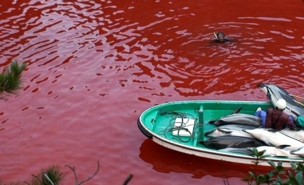 Йоко Оно протестира срещу лова на делфини в Япония