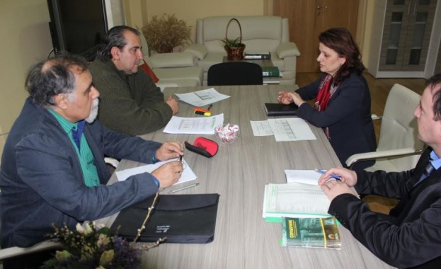 Зам.-министър Маринова: Търсим варианти да намалим цената на дървесината