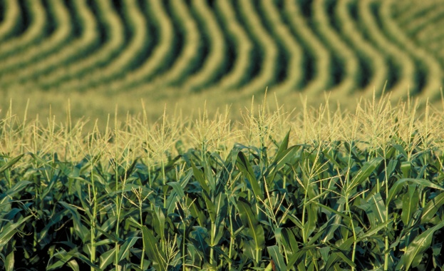 Стимулирането на изоставащи селскостопански сектори е приоритет на МЗХ за 2014 г.