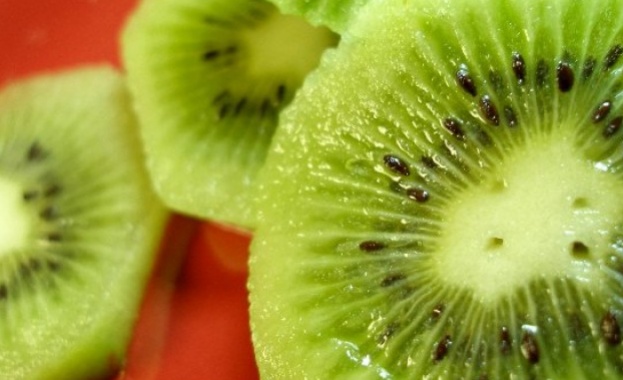 Кивито е първенец сред плодовете по наличие на витамин С