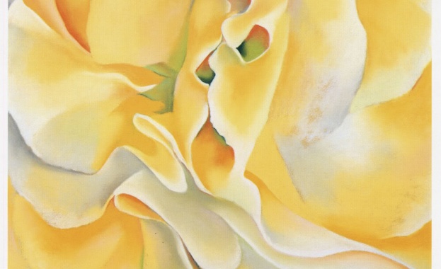 Рождениците днес