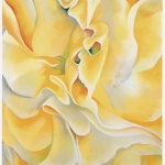 Рождениците днес